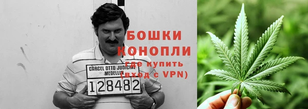 трава Новодвинск