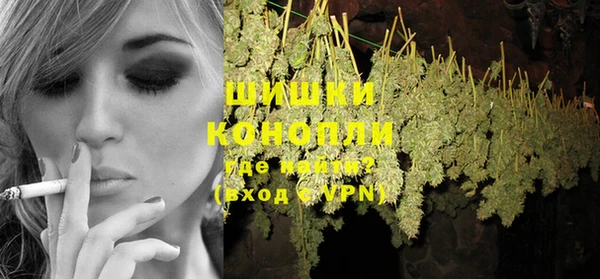 спайс Нея