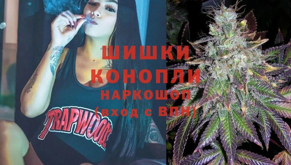 трава Новодвинск
