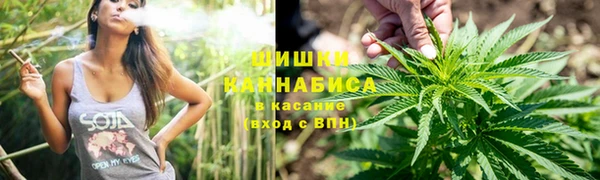 трава Новодвинск