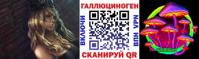 Галлюциногенные грибы Psilocybe  Краснообск 
