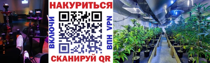 ОМГ ОМГ маркетплейс  Краснообск  Шишки марихуана сатива 